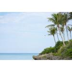 Sony FE 50-150mm f/2 GM Lens